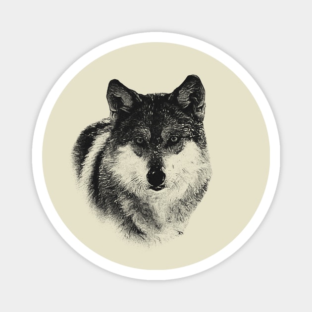 Wolf portrait Magnet by Guardi